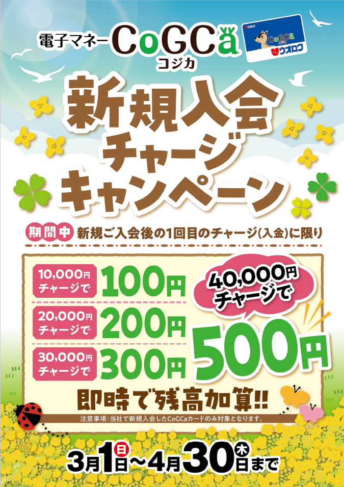 コジカ新規入会チャージCPpng.png