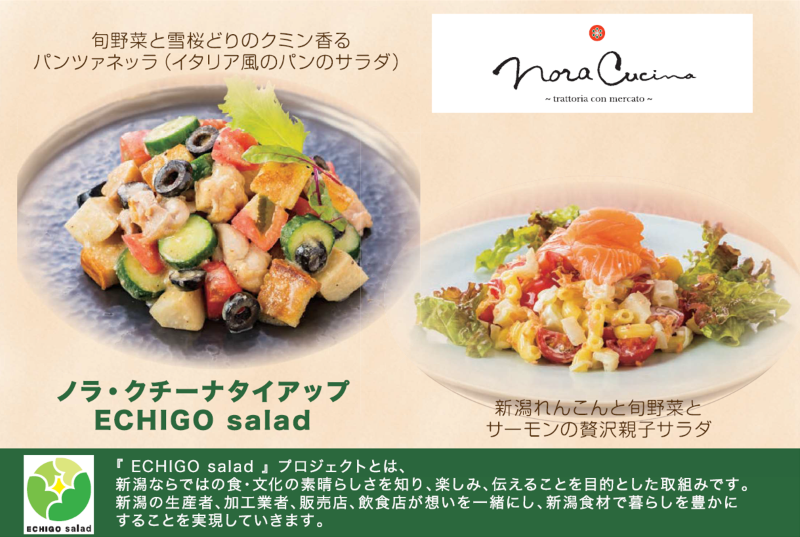 ウオロク・キューピー共同企画　ECHIGOSaladプロジェクト　ノラ・クチーナ食事券プレゼントキャ