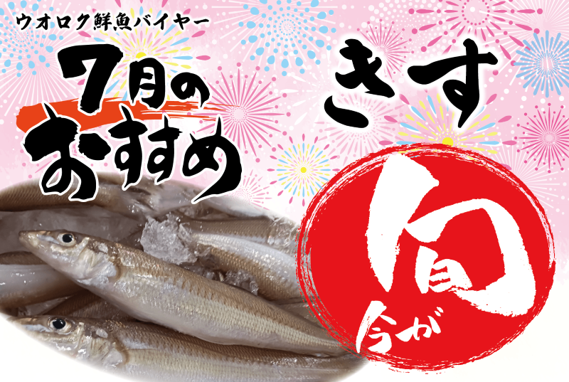 2025年7月旬の魚・きす
