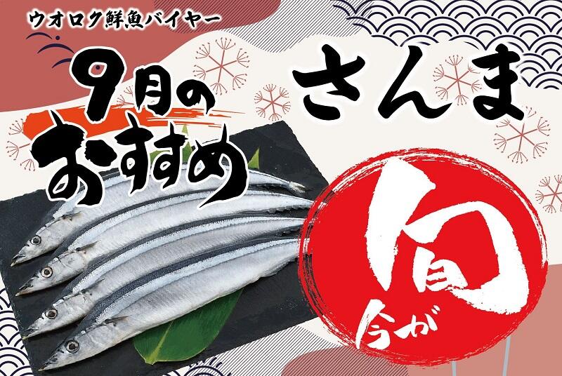 旬の魚9月さんま