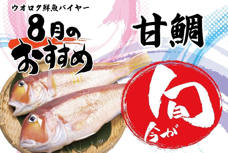 旬の魚8月甘鯛