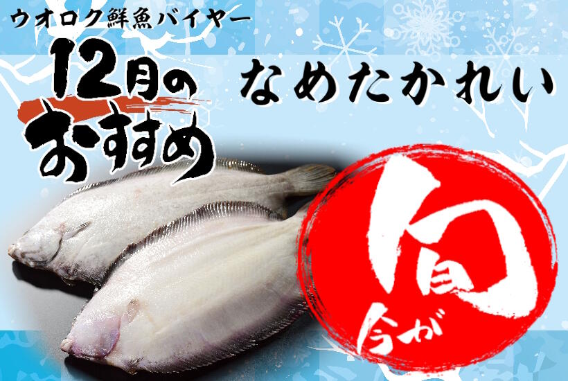 旬の魚12月なめたかれい