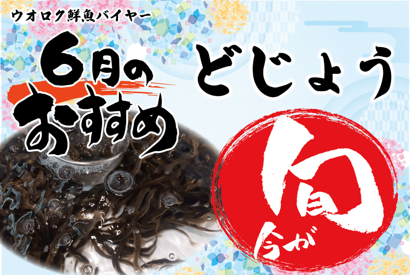 2025年6月旬の魚・どじょう