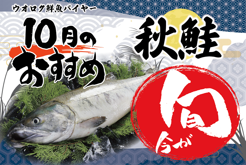 旬の魚10月秋鮭