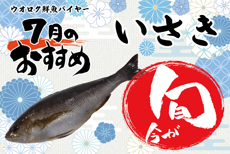 旬の魚7月いさき