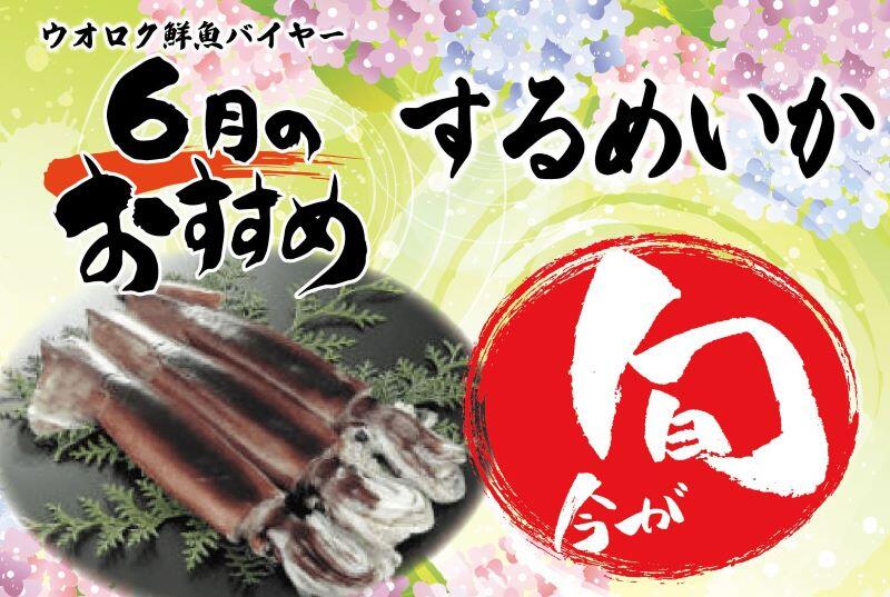 旬の魚6月するめいか