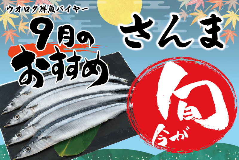 2025年9月旬の魚・さんま