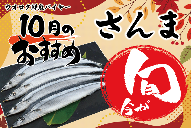 2025年10月旬の魚・さんま