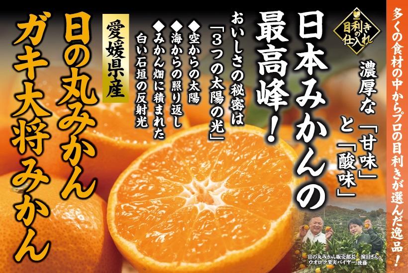 目利きみかん・ガキ大将