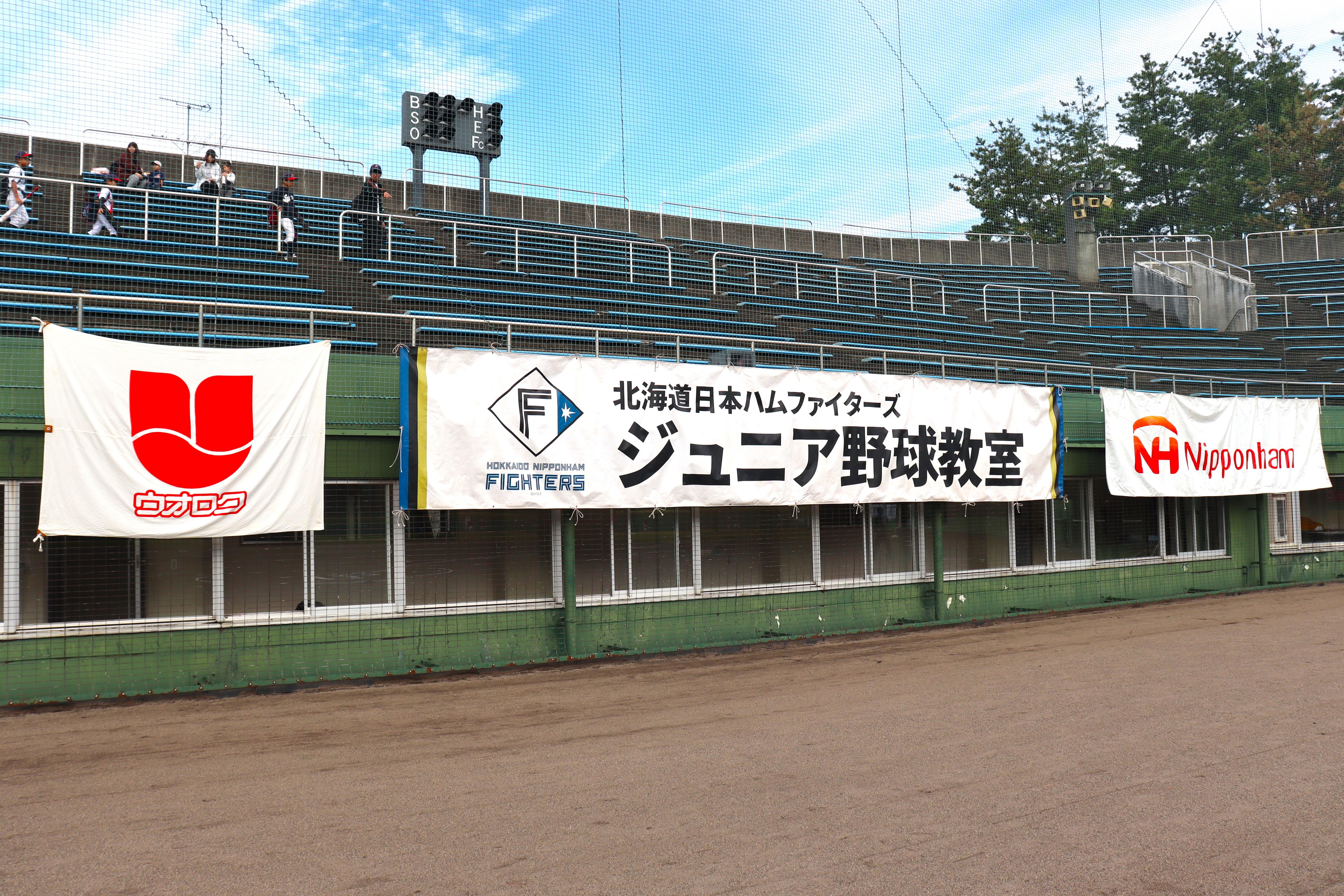 お父さんのための野球教室DVD 桜井イズム2枚組、ピッチャーズ