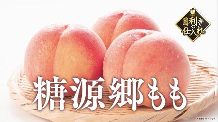 目利きの仕入れ 山梨県産糖源郷もも 期間限定販売！