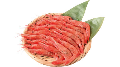 pic_honmaguro01.jpg