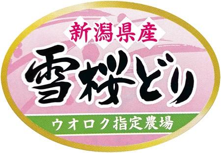雪桜
